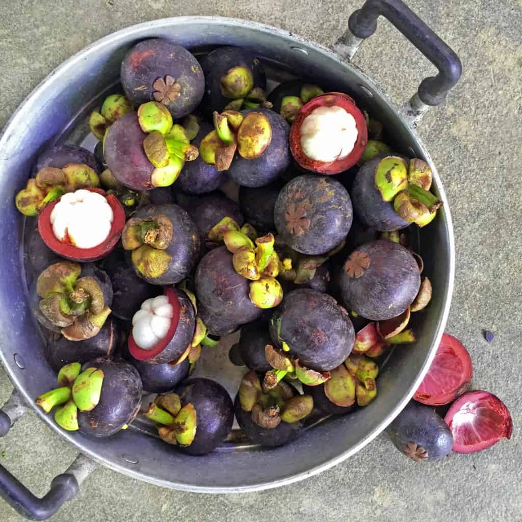 mangosteen